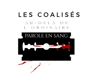 visuel réseau 20260829 012019 0000